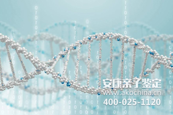 吉林吉林哪里可以做亲子鉴定 吉林DNA亲子鉴定 